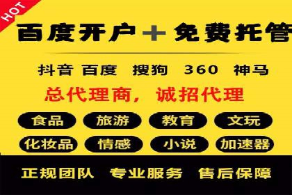 SEM运营公司成功案例解析